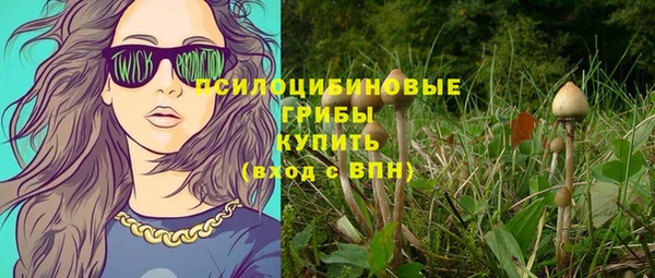 гидра Аркадак
