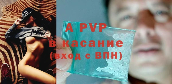 гидра Аркадак