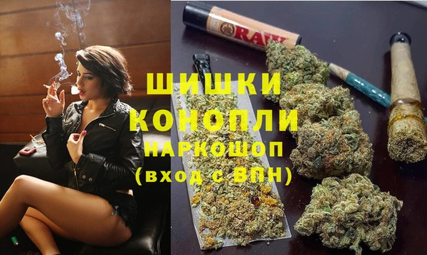 гидра Аркадак